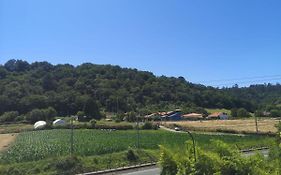 Hotel Capitán